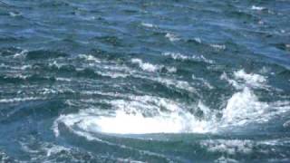 tourbillon géant dinard rance grande marée whirlpool spring tide [upl. by Robbyn724]