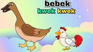 Bebek Kwek Kwek Bebek Nyosor Lagu Anak Anak Lucu [upl. by Amsirhc100]