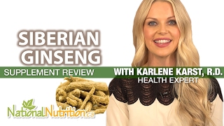 Eleutherococcus Siberian Ginseng Benefits  Supplement Review  National Nutrition Canada [upl. by Enilarak]