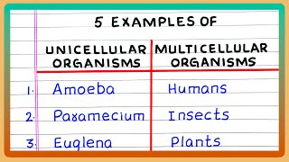 EXAMPLES OF UNICELLULAR AND MULTICELLULAR ORGANISMS [upl. by Anallese]