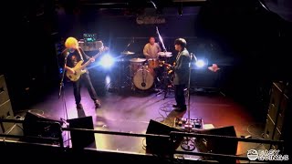 The Racoon Dogold to future（Live at 越谷EASYGOINGS 20231207） [upl. by Nahtanohj]