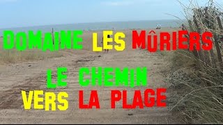 France  Vendres Plage  Domaine Les Mûriers  Le chemin pédestre vers la plage  juillet 2016 [upl. by Mohl554]