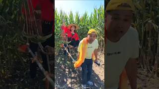 Essential Agricultural Tools for Corn 🌽🌽 Farming  Useful Tool for Rural Farmer shorts ytshorts [upl. by Henri335]