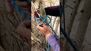 Osal hitch knot adventuretravel trending climbingmountains explore youtubeshorts ropework [upl. by Atnamas]