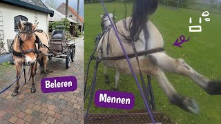 De EERSTE twee keren BUITEN met Tasha MENNEN  VLOG  VILARO [upl. by Matthei587]