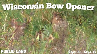 Wisconsin Deer Hunting Bow Opener on Public Land  Bucks Moving in the HOT WEATHER [upl. by Scarrow268]