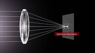 How Lenses Function [upl. by Enixam]