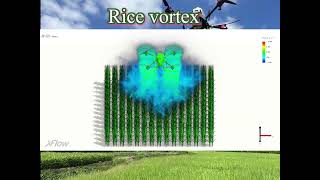 The fluidstructure interaction between the rice canopy and the downwash airflow of a quadcopter UAV [upl. by Iborian]