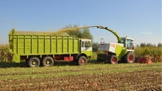 Loonwerk Van De VoordeMartens  Claas Jaguar 860 [upl. by Llewkcor192]