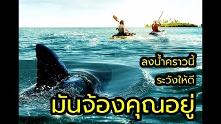 สปอยหนัง ครีบพิฆาต  the reef stalked [upl. by Ajnotal]