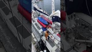 Boarding the Abel Tasman in style 😎 in Upernavik Greenland Sailing Expedition SailingYacht [upl. by Lynnworth102]