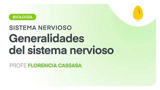 Generalidades del sistema nervioso  Biología  Sistema Nervioso  V1  Egg Educación [upl. by Inalaehak482]