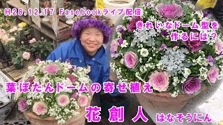 葉ボタンドームまん丸寄せ植えマウント【ギャザリング寄せ植えの作り方】1時間6分55秒／花創人ガーデニング教室20161221 [upl. by Norag882]