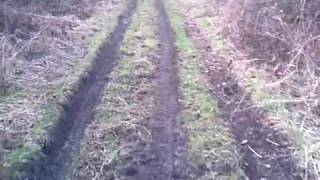 WMTRF  Glebe Farm Lanewebwmv [upl. by Mairim519]