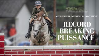 RECORD BREAKING PUISSANCE JUMP  98th Connemara Pony Show [upl. by Conrado]