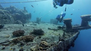 Thistlegorm wreck dive outside [upl. by Hartmunn]