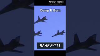 RAAF F111 Dump and Burn shortsvideo milatary airforce [upl. by Leverick865]