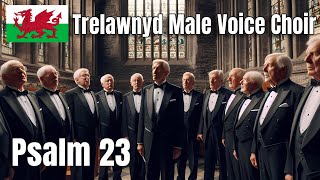 Trelawnyd Male Voice Choir  Psalm 23 [upl. by Chiou]