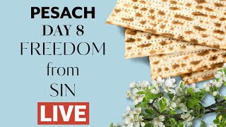 Pesach  Day 8  Freedom from Sin  Live QampA [upl. by Colner]