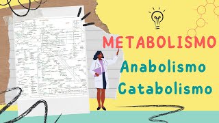 Metabolismo  Anabolismo  Catabolismo en 5 minutos [upl. by Raynor99]