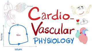 Cardiovascular Physiology  PressureVolume loops Cardiac Cycle ESV EDV SV CO Starling Law [upl. by Gudren402]