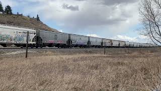 CN 2899 and UP 3096 lead grain train in cochrane Alberta [upl. by Reamonn]