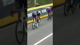 Tour of Flanders unbelievable sprint finish shorts [upl. by Yesnil630]