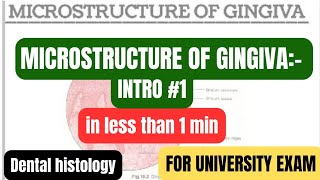 Microstructure of gingivaintro1Oral mucous membranein1minexamdental histologyBDSDentoTuber [upl. by Justinn932]