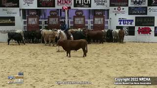 SJR Diamond Fox Shown by Kelby I Phillips 2022 NRCHA SBF Open Herd Work Finals [upl. by Kaete889]