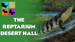 THE REPTARIUM  DESERT HALL  EP12  EAST LAKE ANIMAL EDUCATION CENTRE  PLANET ZOO [upl. by Mikkel]