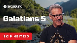 Galatians 5  Skip Heitzig [upl. by Eimak739]