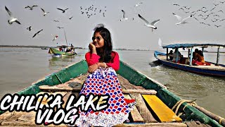 Chilka Lake Bird Sanctuary Vlog  Puri Odisha Dolphins Flagship Species Of Chilika Lake MadhuAjit [upl. by Blau]