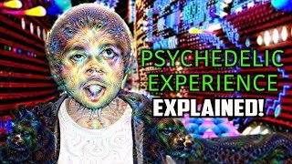 10 Hallucinatory States Of The PSYCHEDELIC Experience [upl. by Giule]