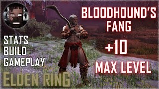 Bloodhounds Fang 10 Max Level Bleed Build  Elden Ring [upl. by Gavan]