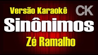 Zé Ramalho Sinônimos Karaokê [upl. by Oirelav]