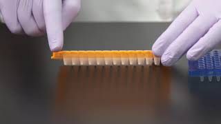 Learn How to Choose a PCR Plate [upl. by Yesdnyl77]