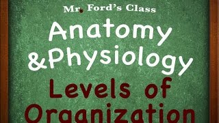 Introduction To Anatomy Physiology Levels of Organization 0103 [upl. by Markson]