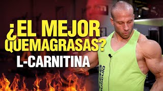 ✅ Todo sobre la LCARNITINA ¿Es el mejor 🔥QUEMAGRASAS [upl. by Gine]