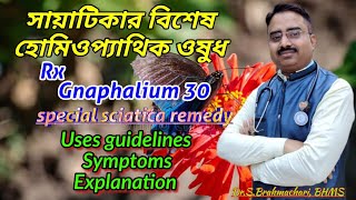 Homeopathic medicine gnaphalium polycephalum  gnaphalium 30 uses  medicine for sciatica [upl. by Aidnyl834]