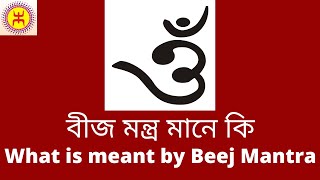 বীজ মন্ত্র মানে কি  What is meant by Beej Mantra veg recipes healthy bhi tasty bhi [upl. by Nwahsek]