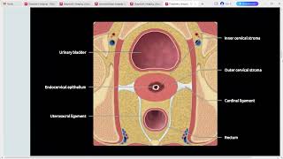 GYNAE IMAGING DIAGNOSTIC IMAGING SERIES [upl. by Agler]