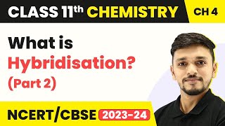 Hybridisation Part 2  Chemical Bonding and Molecular Structure  Class 11 Chemistry [upl. by Teerpnam]