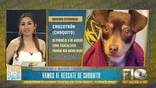 Mascotas Desaparecidas 🐾 Chocotrón  Choquito [upl. by England318]