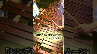 『シンデレラ・ハネムーン』 岩崎宏美  Marimba Solo Cover【毎日投稿】shorts marimba music [upl. by Sitoeht784]