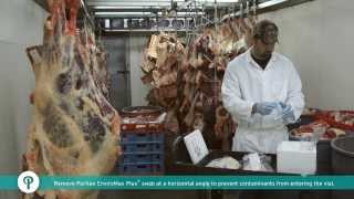 Environmental Swabbing  How to Collect Samples from Meat [upl. by Erlina]