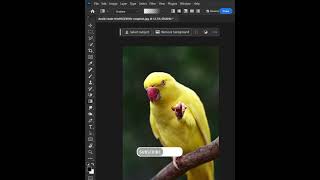 How to create vignette in Photoshop [upl. by Ariaic661]