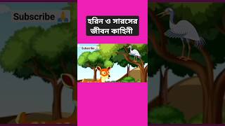 উপকারী সারস  Rupkothar Golpo Cartoon  Bengali Cartoon Story [upl. by Aubrie]