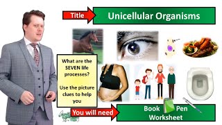 Unicellular Organisms  Biology  KS3  Key Stage 3  Mr Deeping [upl. by Vola282]