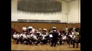 Tuba Concerto by Philip Sparke Tuba solist Fioroni Michele [upl. by Kippie]