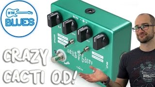 Caline Crazy Cacti Overdrive Pedal [upl. by Sinnaoi45]